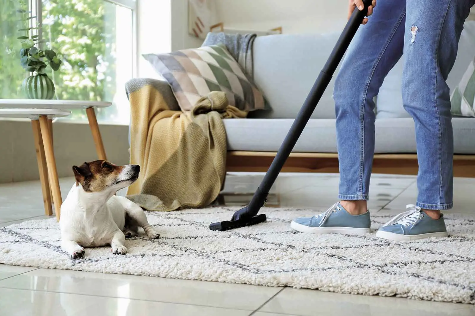 <p>Pet owners selling their homes should clean thoroughly, remove pet clutter and secure animals during inspections.</p>\\n
