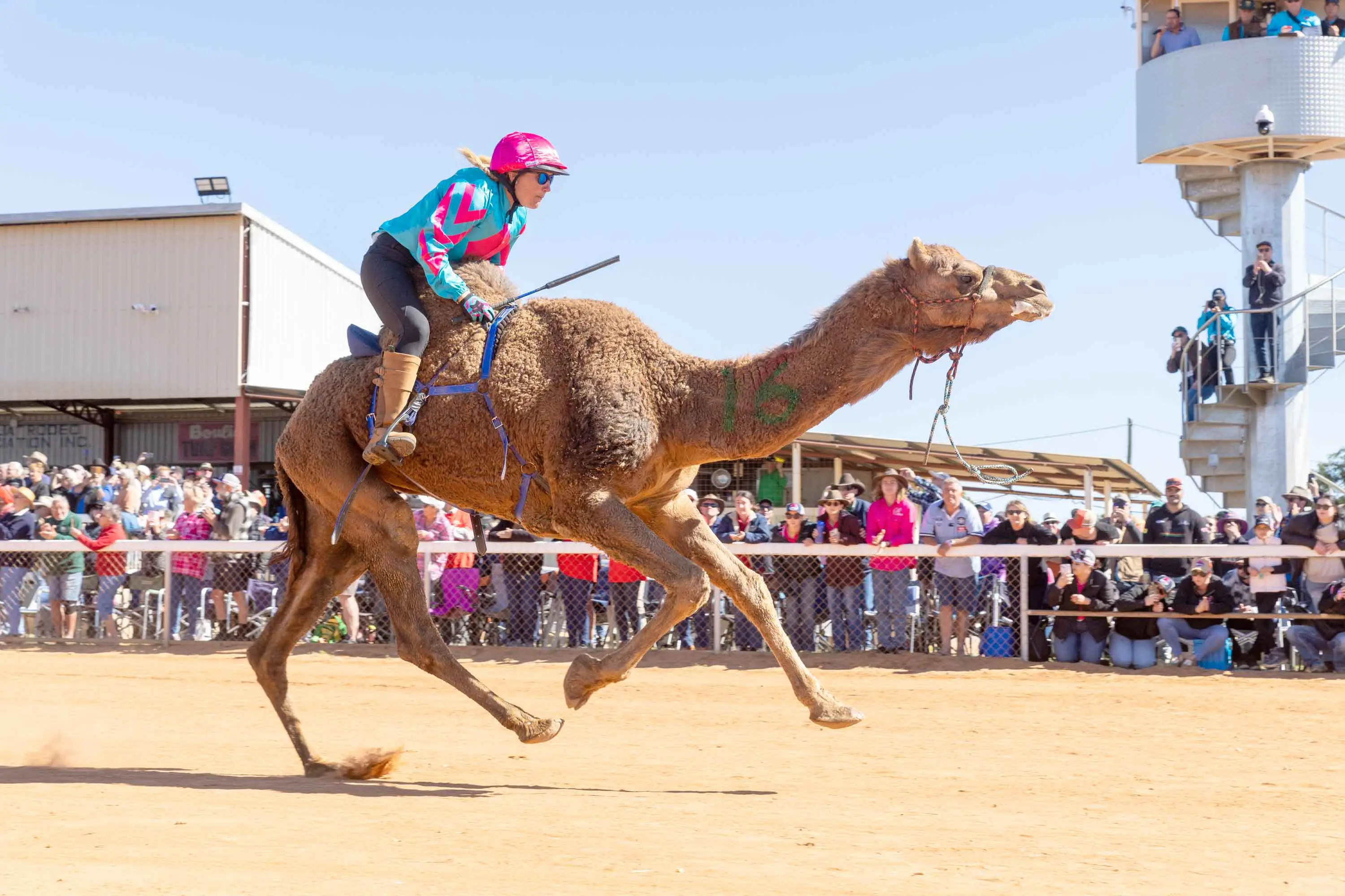 <p>Queensland\\'s outback camel trail is roaring into life, luring tourists off the beaten track. Photo: AAP/Kath Rose PR, Matt Williams</p>\\n