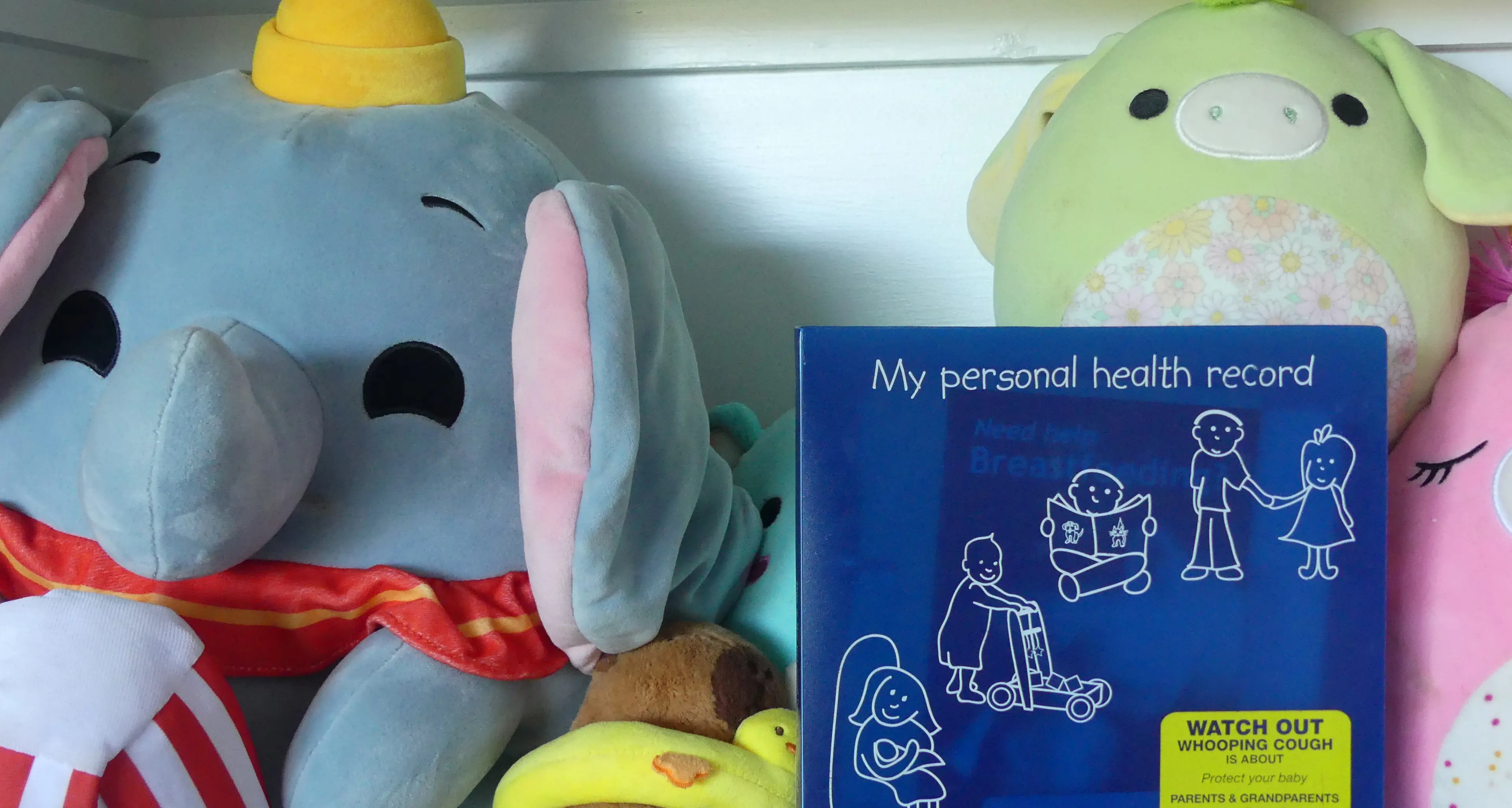 Red letter day for baby books as health gaps emerge