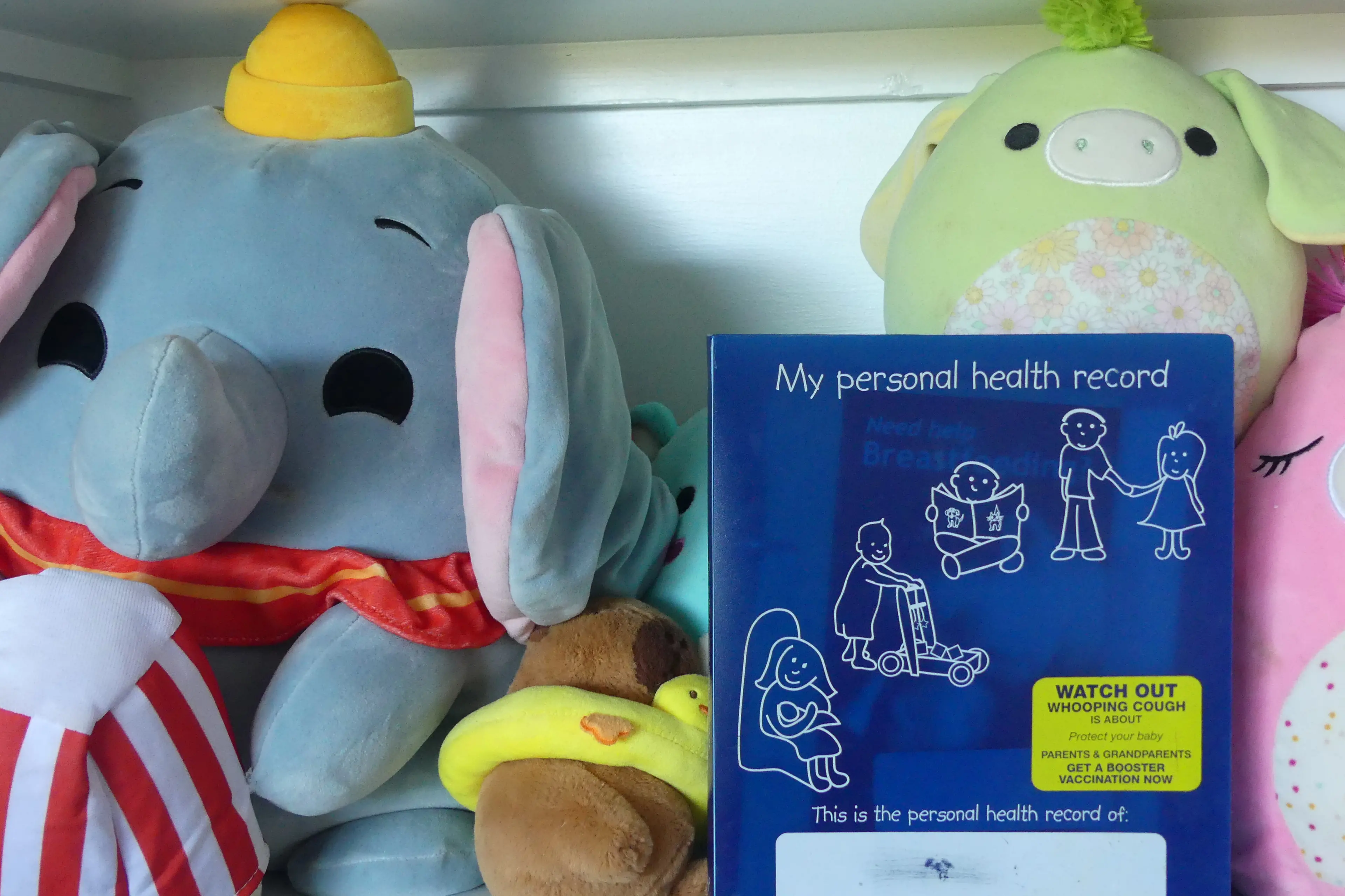 <p>Digital versions of the infant health record \\u2013 known as \"the blue book\" in NSW \\u2013 hope to make it easier to navigate appointments. Photo: AAP</p>\\n