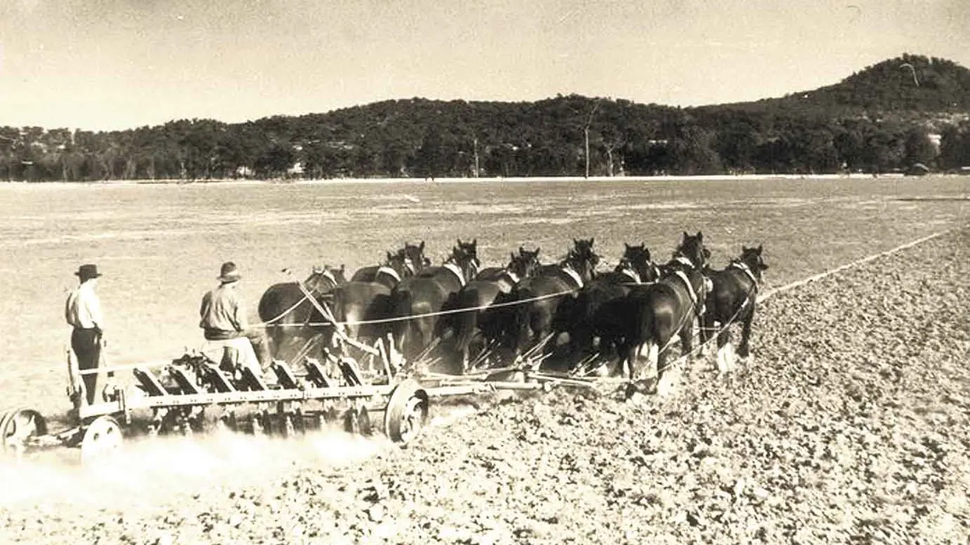 Time Warp: When fallow competitions developed world-best farming practices