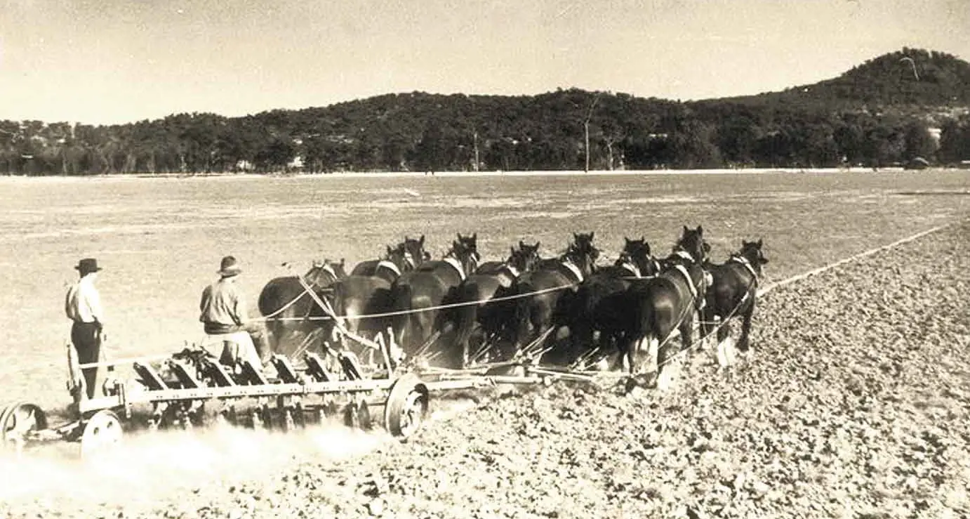 Time Warp: When fallow competitions developed world-best farming practices