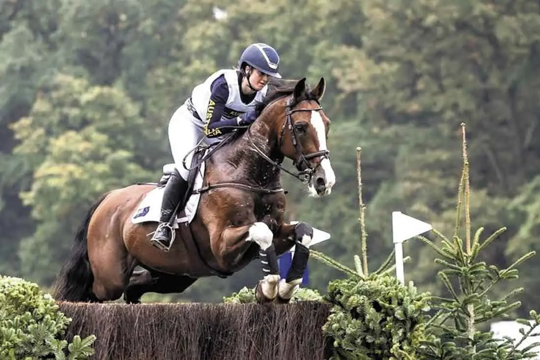 <p>Top ride; local lass Olivia Barton\\u2019s mount, \\u201CAPH Sodoku\\u201D \\u2013 often affectionately called \"Skippy\" \\u2013 is a highly-accomplished eventing horse on which she will represent her country at the World Equestrian Championships in Aachen, Germany next month. Photo: Supplied</p>\\n