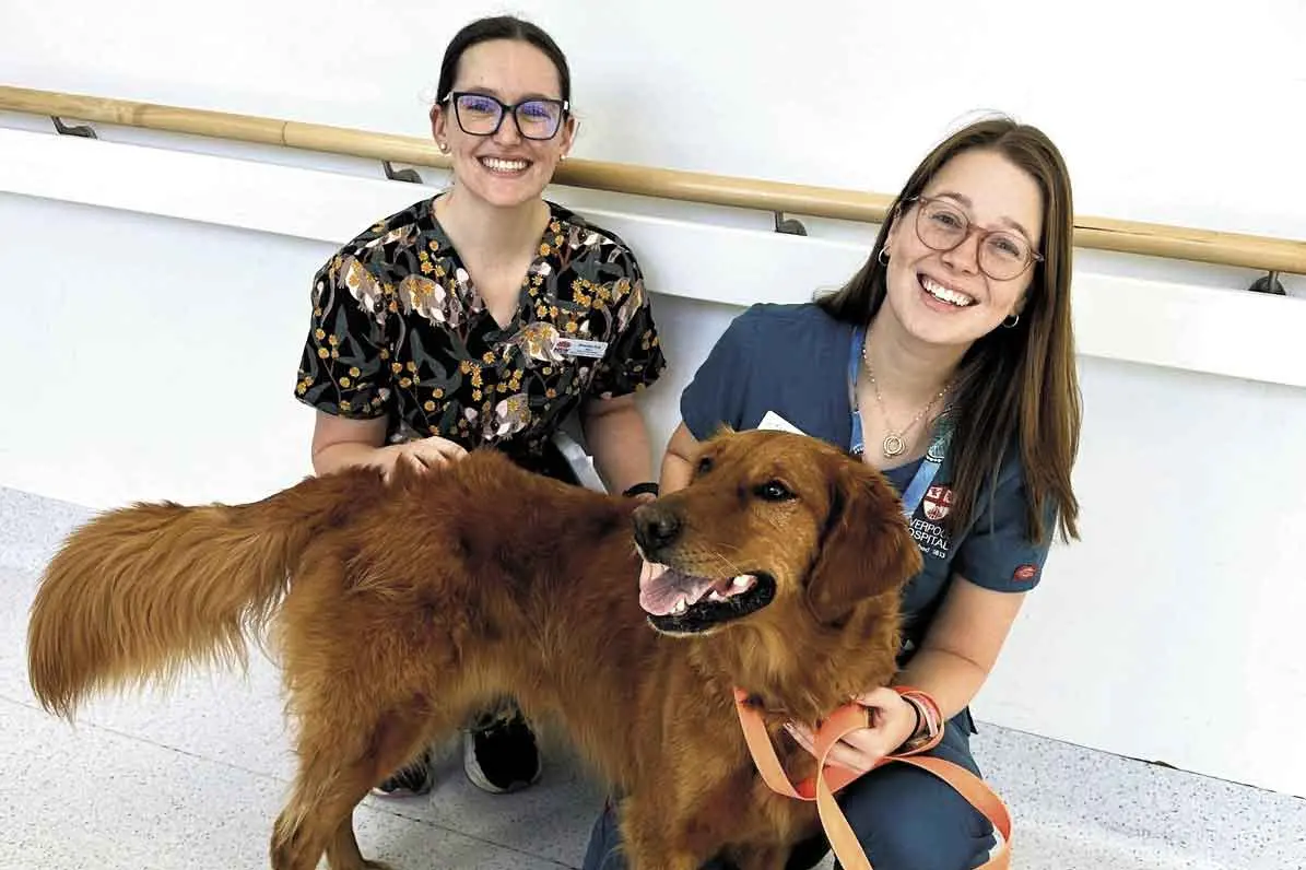 <p>Dr Miranda Eyb (left) with Shine, one of Dubbo Base\\'s pet therapy dogs, and fellow junior doctor Dr Kaitlin Meyer. Photo: CSU</p>\\n