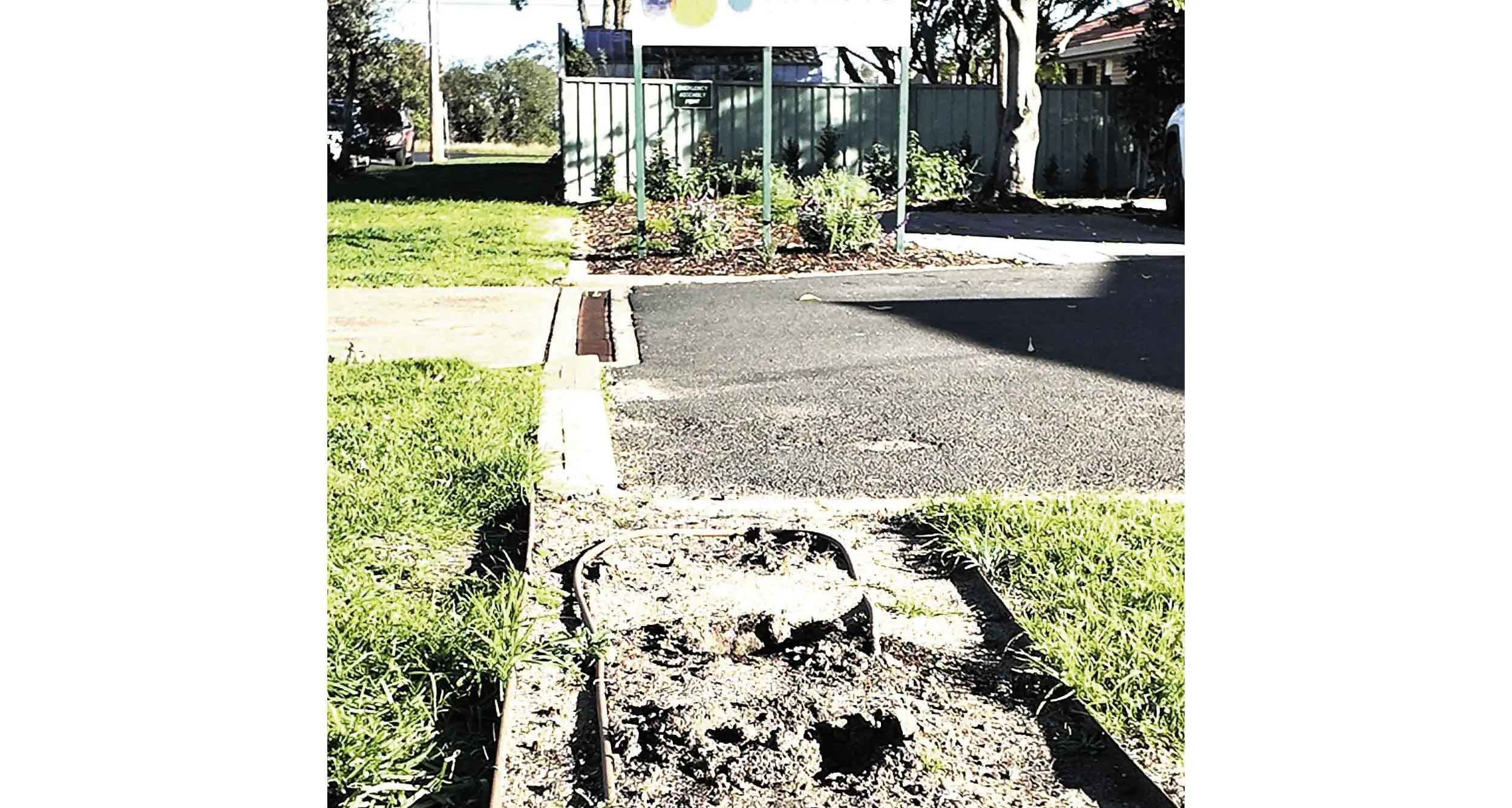 Grief stricken: Cynical plant theft brings out the very best in Dubbo