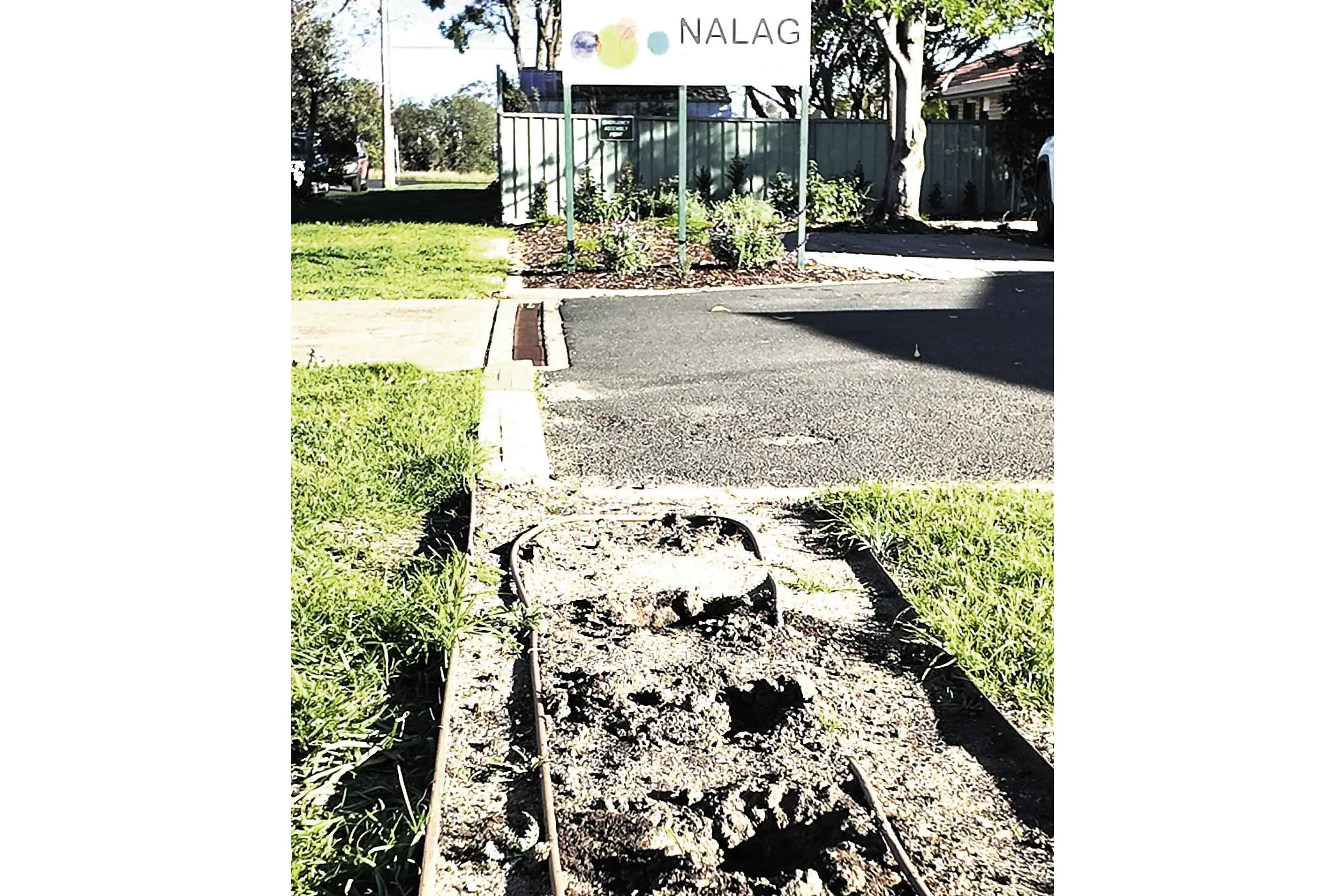 <p>Easing a bitter blow: the recent theft of memorial trees planted by grief counselling service, NALAG in Dubbo, has brought out the best in the Dubbo community with numerous offers of support and help. Photo: Dubbo Photo News/Sharon Bonthuys</p>\\n