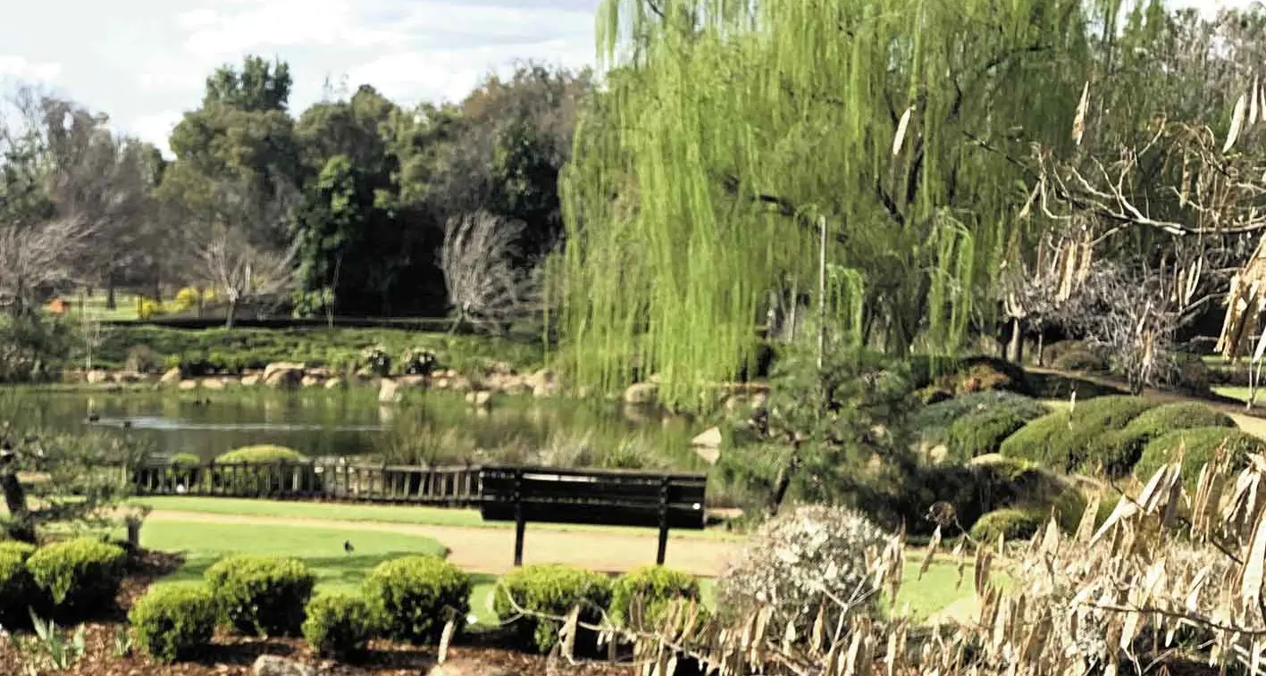 Dubbo Memory Walk highlights link between memories, loss and grief