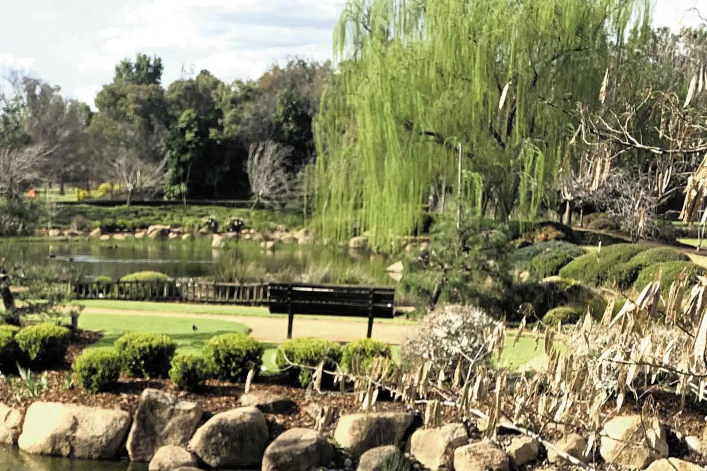 Dubbo Memory Walk highlights link between memories, loss and grief