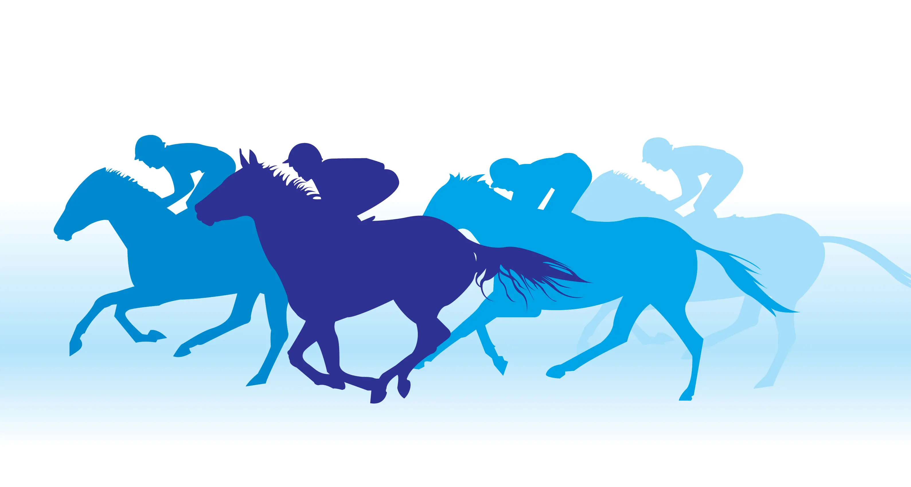 Trainer Connie has big day at return of Trangie Picnic races