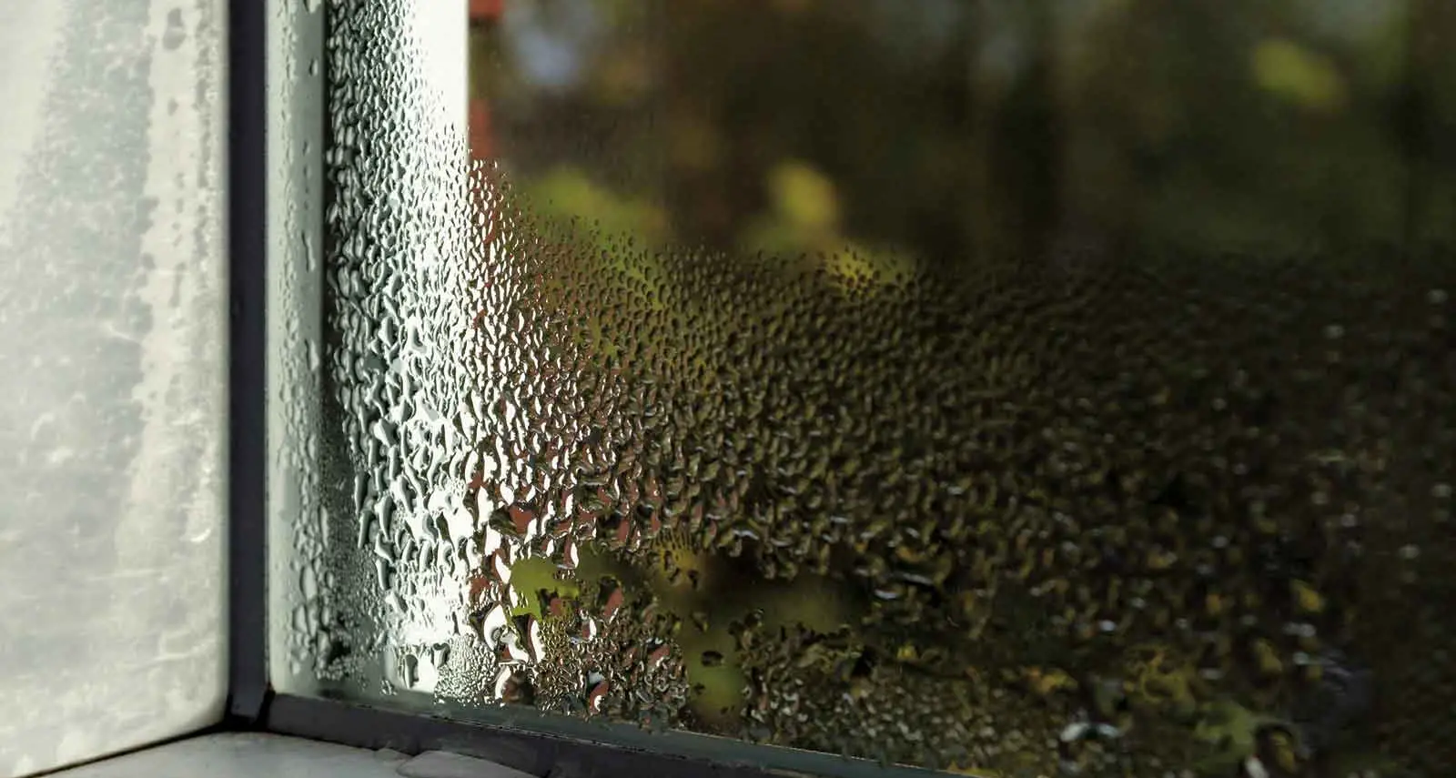 Why controlling indoor humidity matters for your health and home
