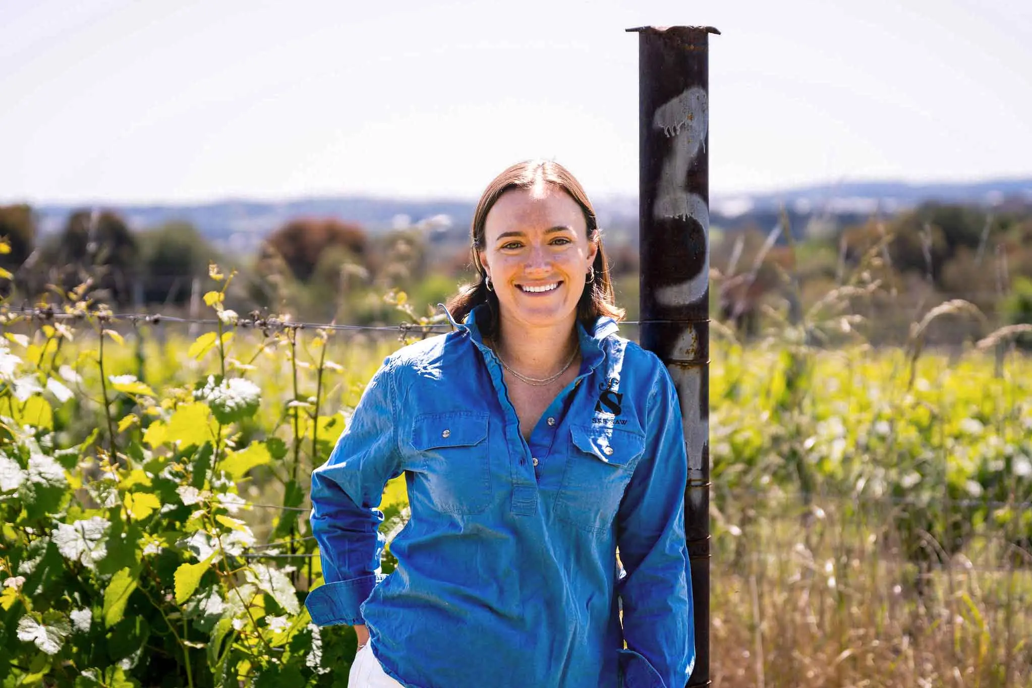 Grapes of math: how solar plus sheep equals good wine