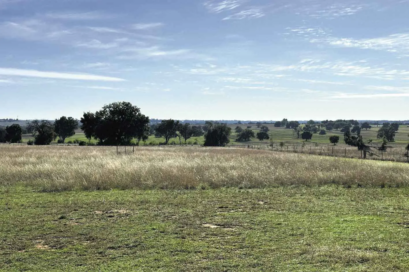 <p>The view from David\\'s property over land that may become home to solar panels and lithium batteries if the State-Significant ARES project is approved. Photo: Supplied. </p>\\n