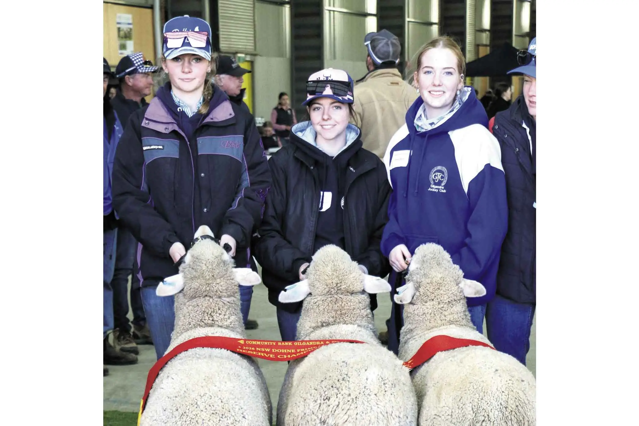 Dubbo students shine in prime lamb comp