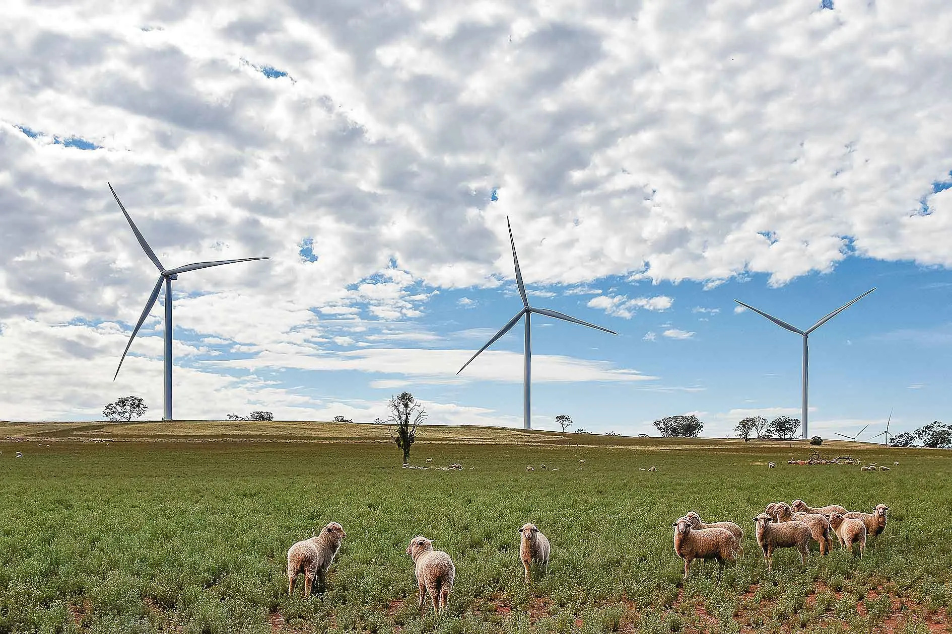<p>The pros and cons of a Renewable Energy Zone for the Central West continue to be front-of-mind for Dubbo Regional councillors. Photo: Shutterstock </p>\\n