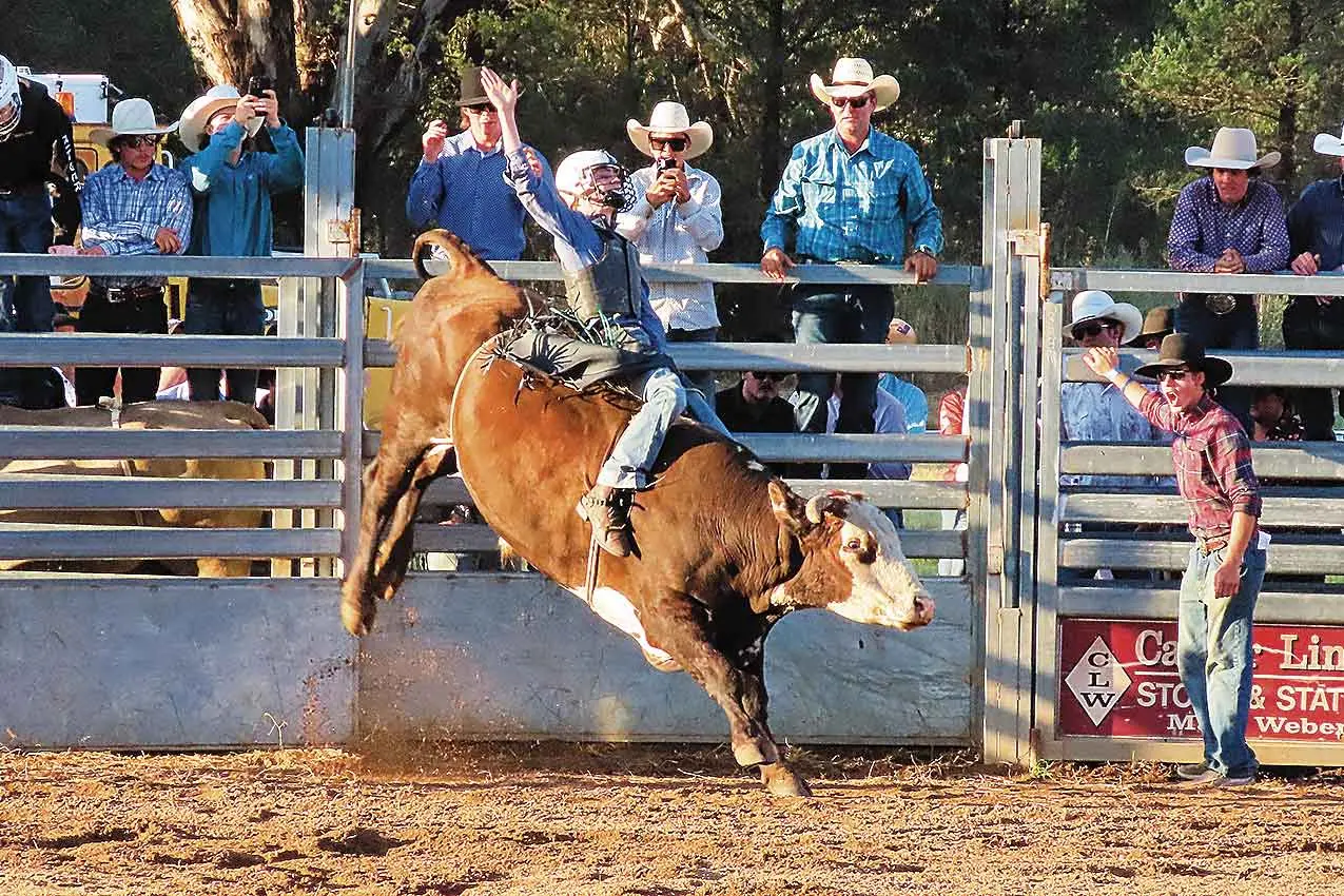 <p>Everyone is invited to enjoy the ambiance, colour, noise, thrills and spills, of the 2026 Geurie Golden Spurs Rodeo on Saturday. Pictured is action at Geurie in past years. Photo: Dubbo Photo News/File</p>\\n
