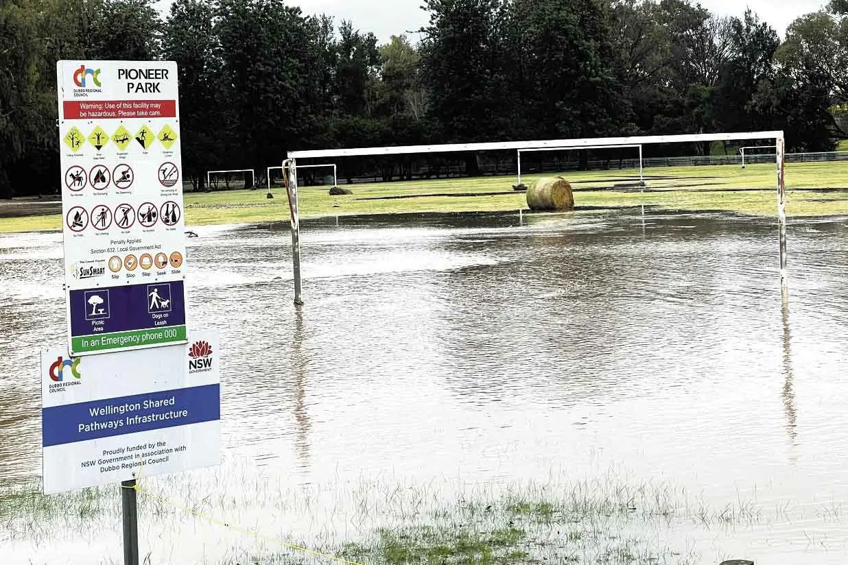 Mayor has word in the PM’s “shell-like” ear, as fluoride saga nears conclusion, and Wellington flood study is released