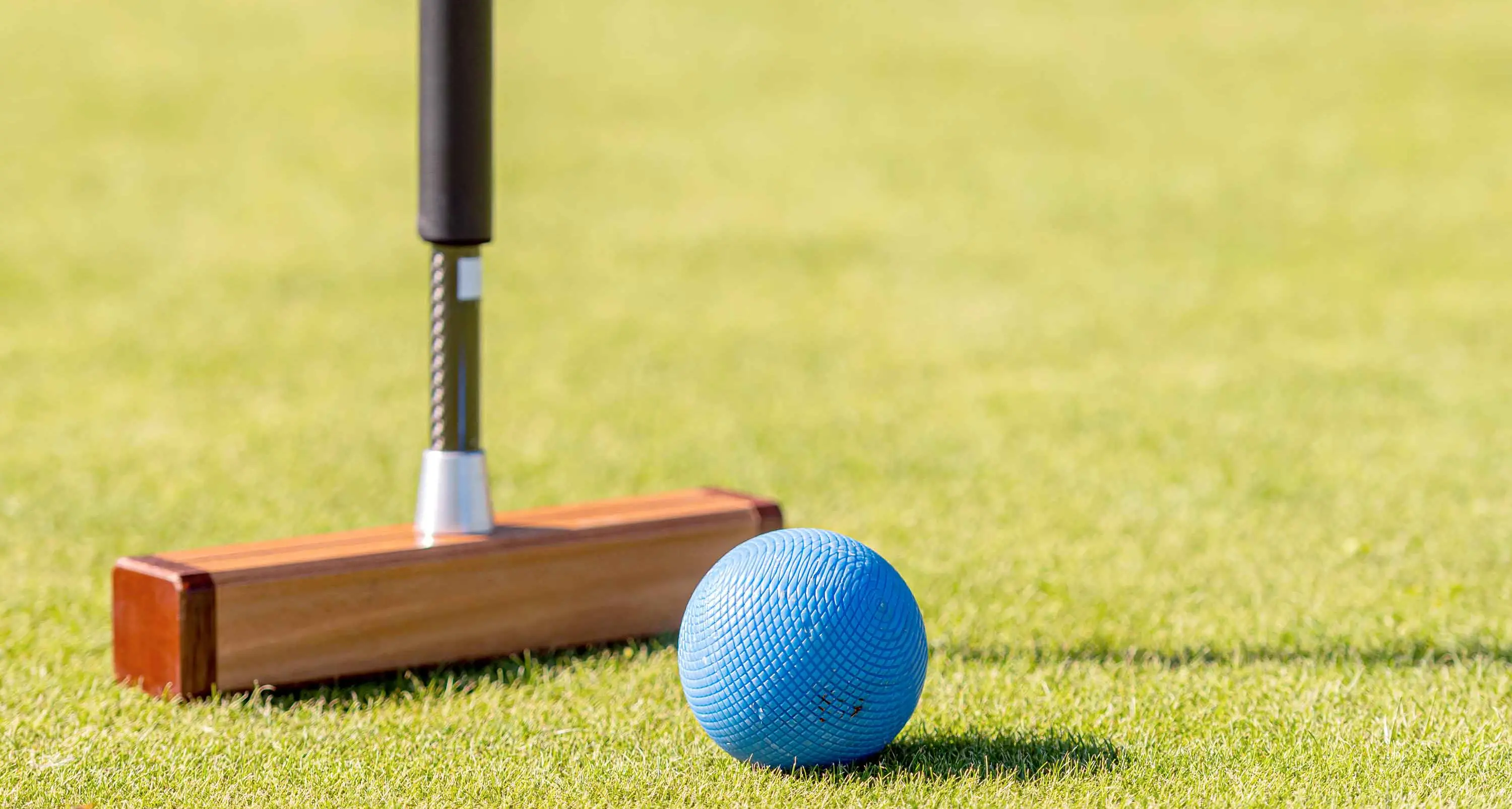 Catching up with croquet!