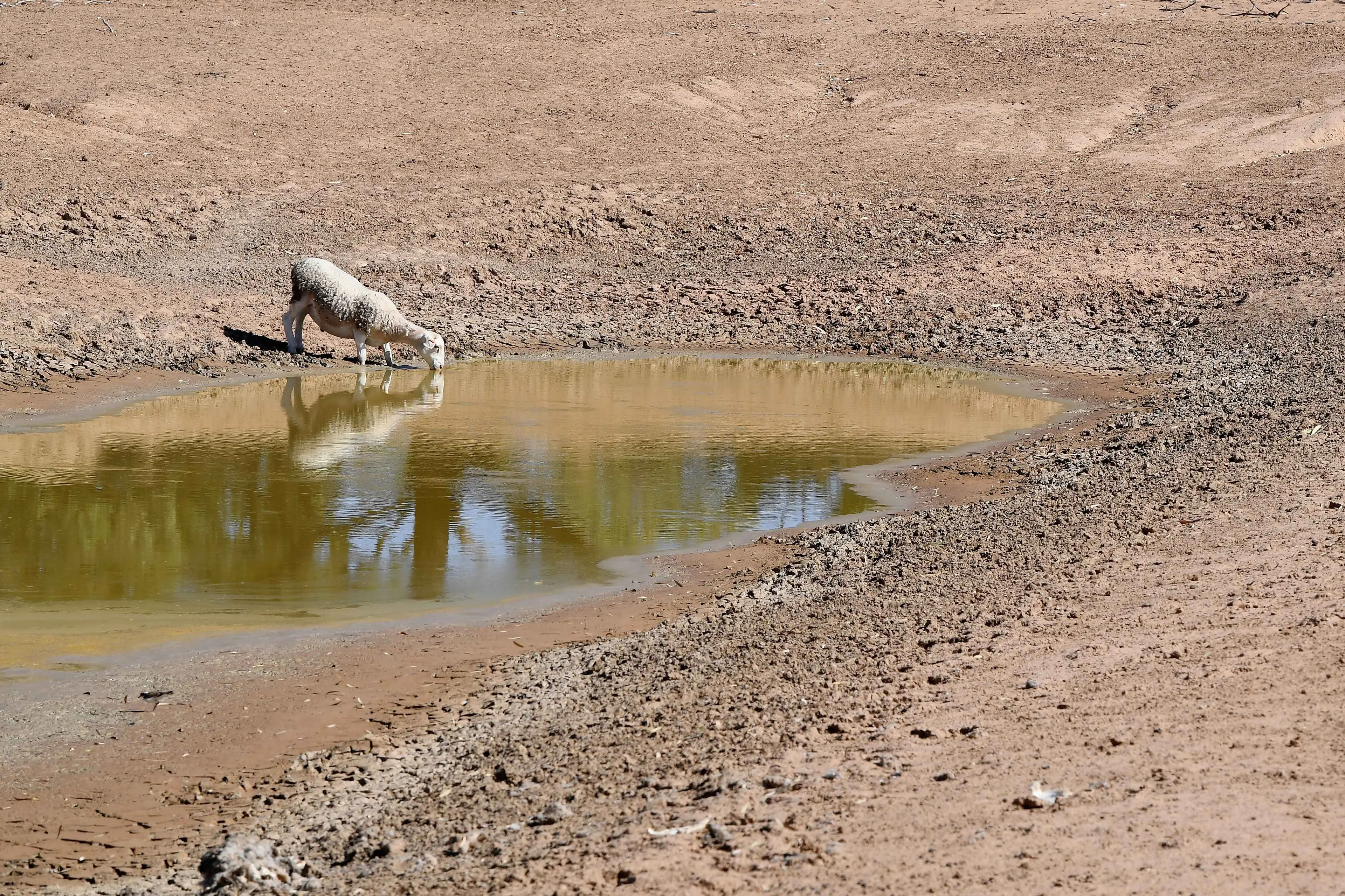 <p>The weather bureau forecasts El Nino will increase over summer, leading to much drier conditions. Photo: AAP/Dean Lewins</p>\\n