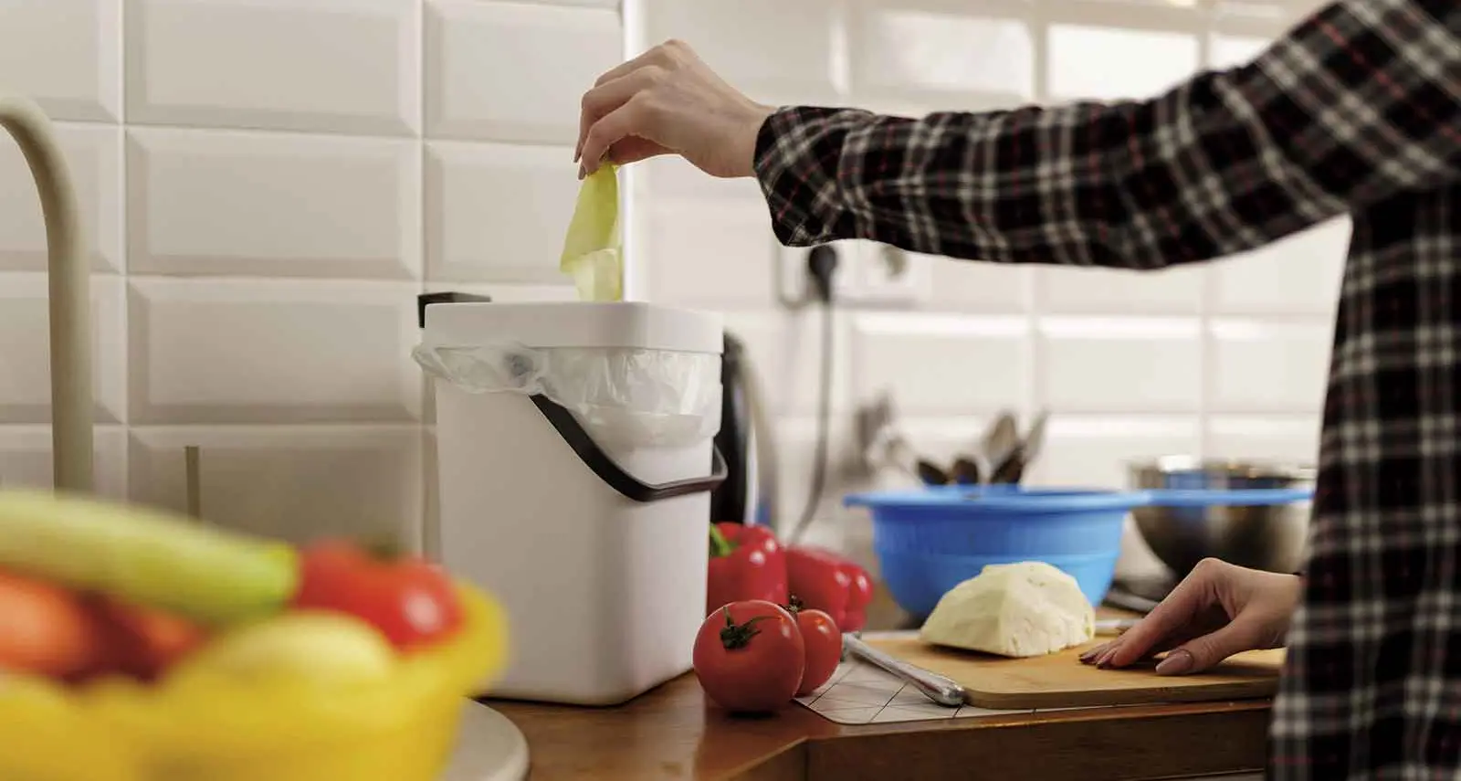 Small bin, big difference: Smart ways to manage food scraps at home
