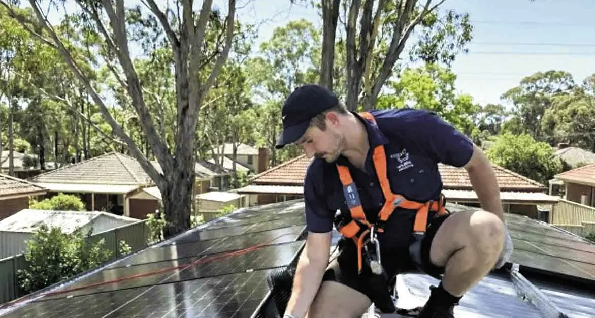 To keep birds away from solar panels, call Wattle Cleaning