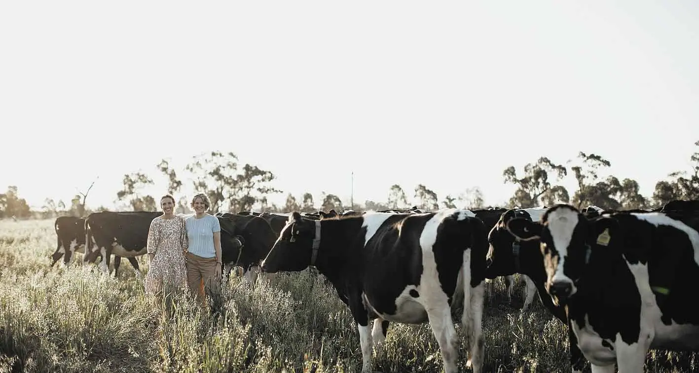 Little dairy that could: Three gongs for family farm