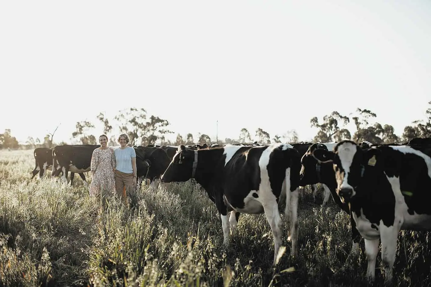 Little dairy that could: Three gongs for family farm
