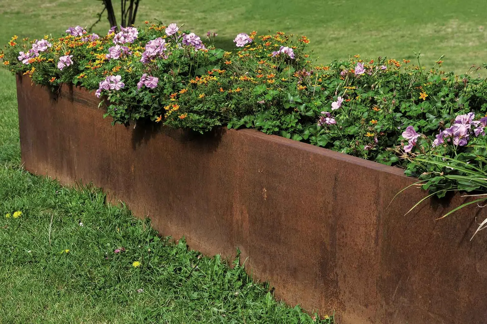 <p>Do you want to add character to your yard? Incorporate Corten steel into your landscaping.</p>\\n