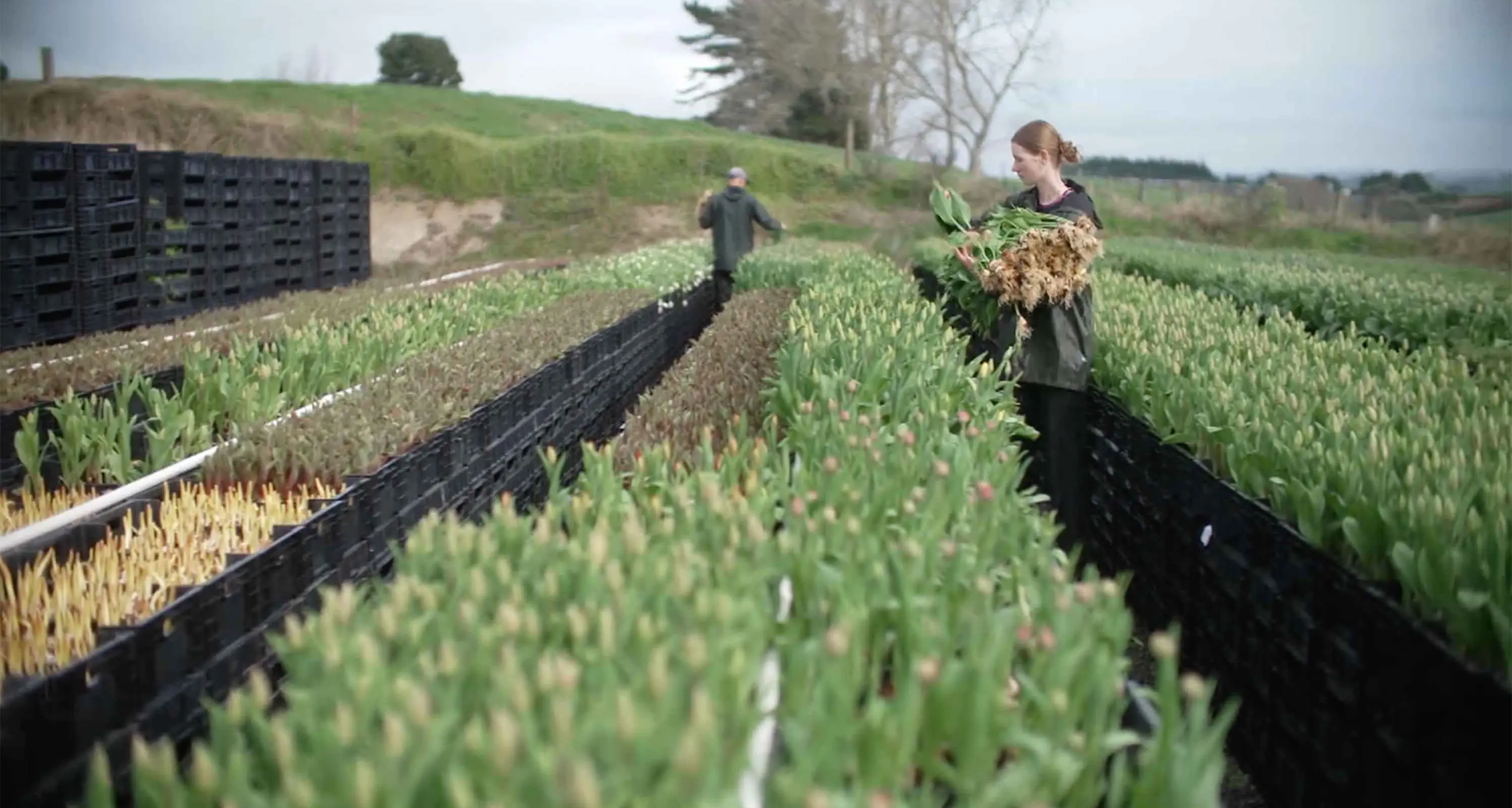 Flower farmers' daughter takes on blooming rubbish