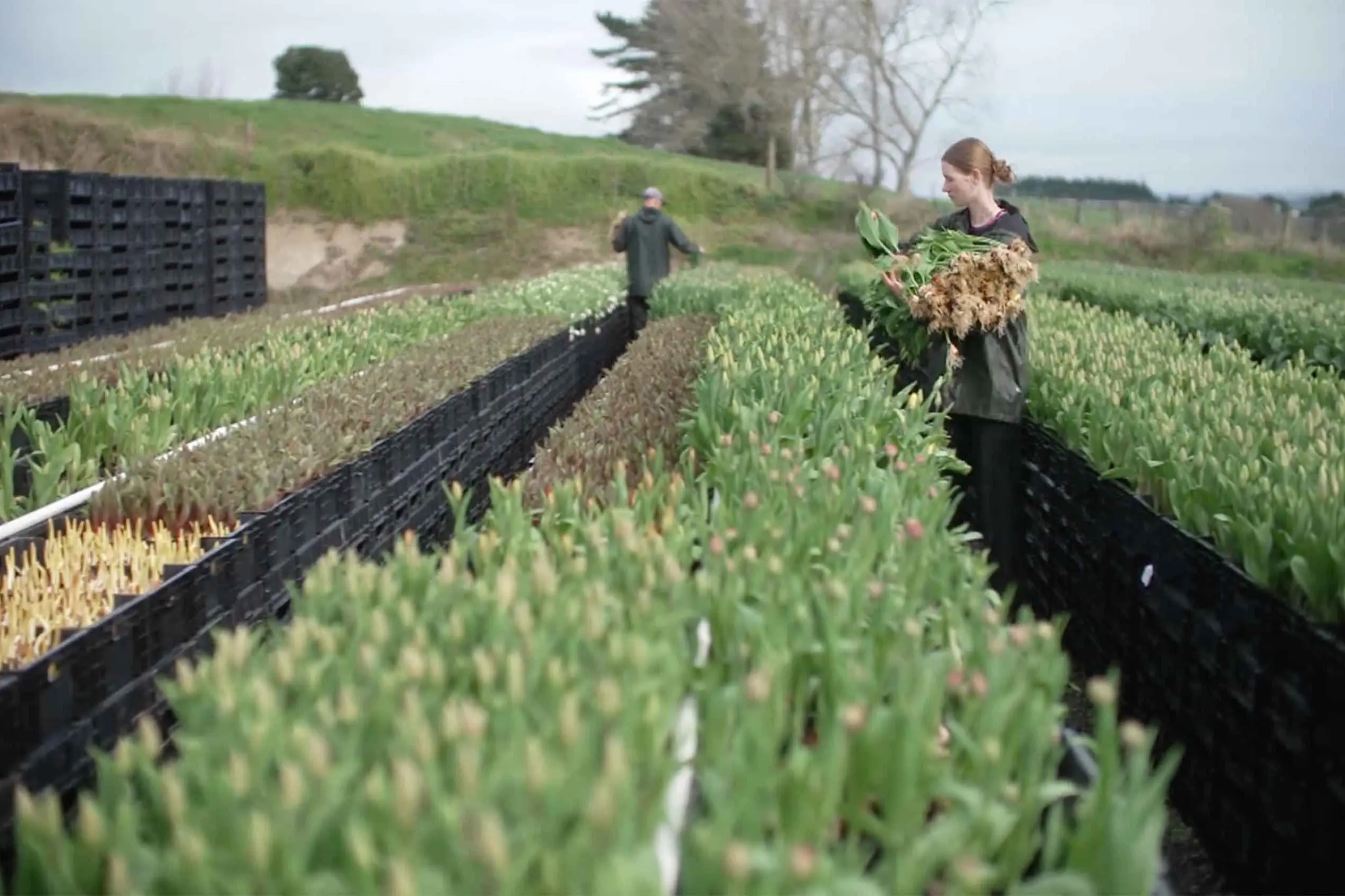 <p>Yasmin Wessels was struck by the sheer scale of plastic waste in the flower industry. Photo: AAP/Supplied</p>\\n