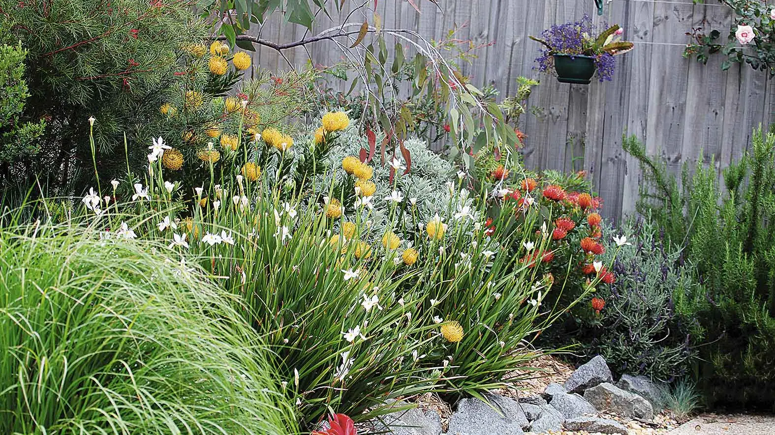 Master the art of contrasts in your garden