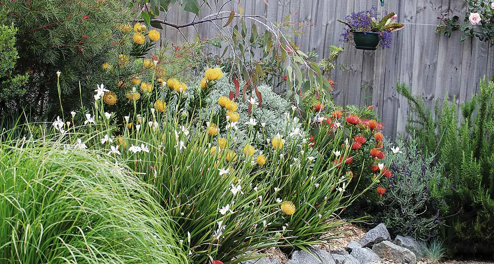 Master the art of contrasts in your garden