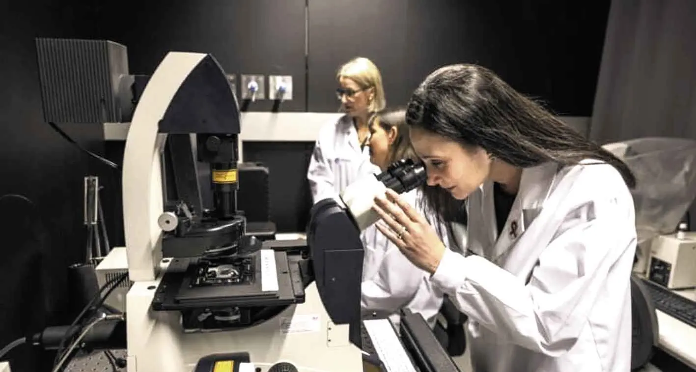 New hope on the horizon for breast cancer research