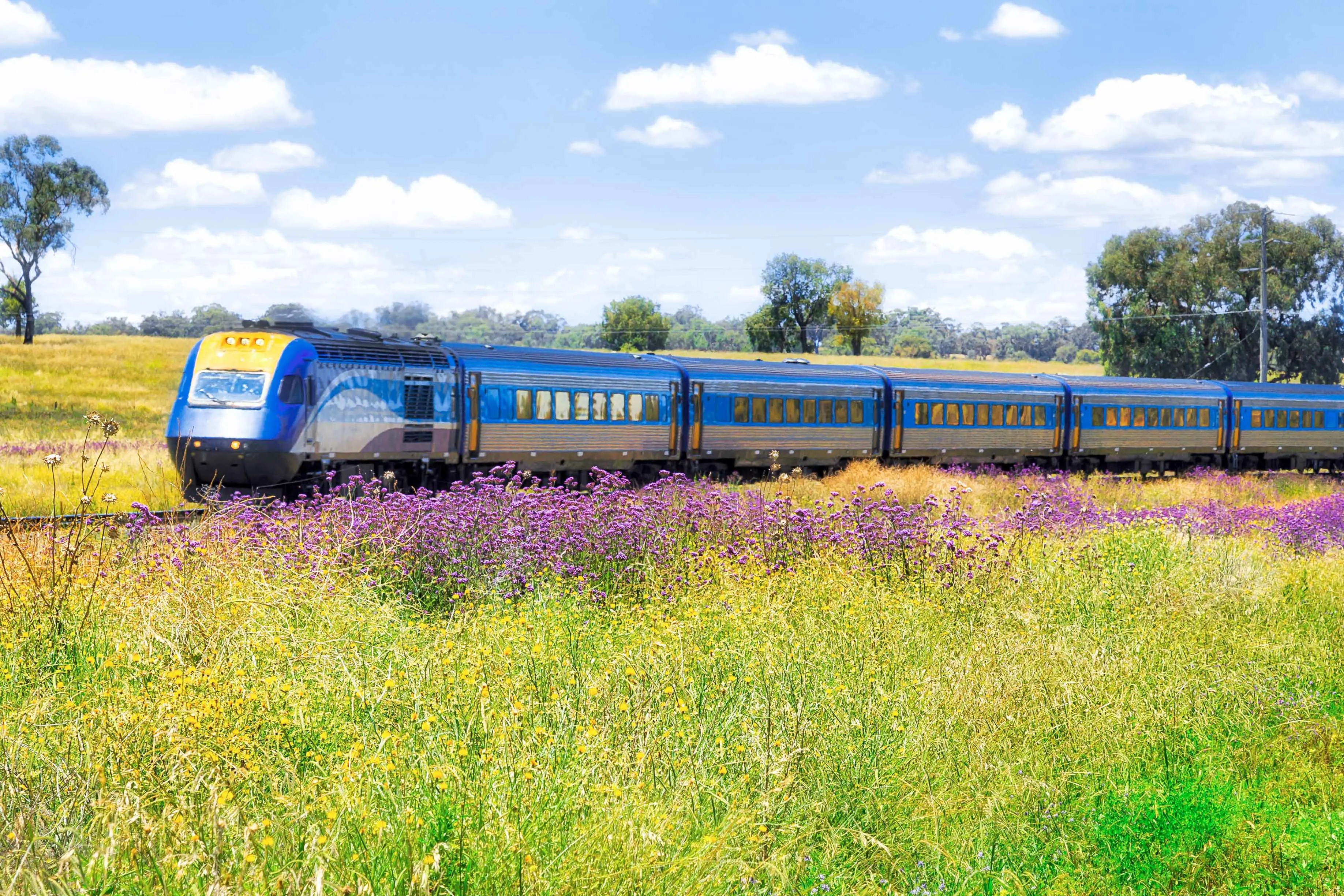 <p>Rising fuel costs strengthen the case for more trains to the regions, according to train enthusiast Phil Buckley. Photo: Shutterstock </p>\\n